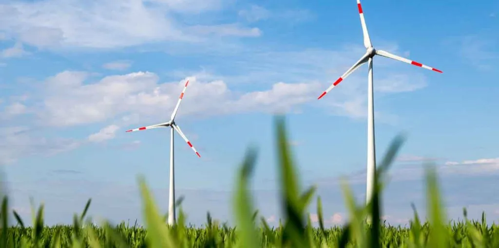 Klimafreundliches Webdesign
